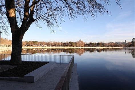 zona cruising casa de campo|Cruising en Zona lago casa de campo, Madrid (Madrid)